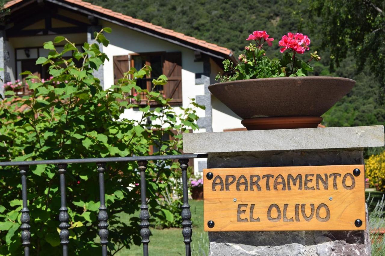 Excepcional Apartamento El Olivo Ох'єдо Екстер'єр фото